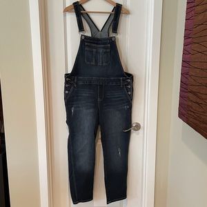 Torrid Denim Blue Overalls